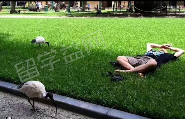 澳洲留学生看病攻略,赶紧收藏起来!